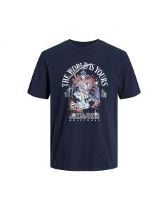 Jack & Jones Heavens T-shirt heren sky captain